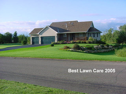 See the difference of high quality fertilizer!