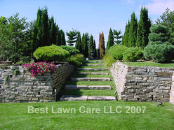 Detailed fertilizing and weed control.